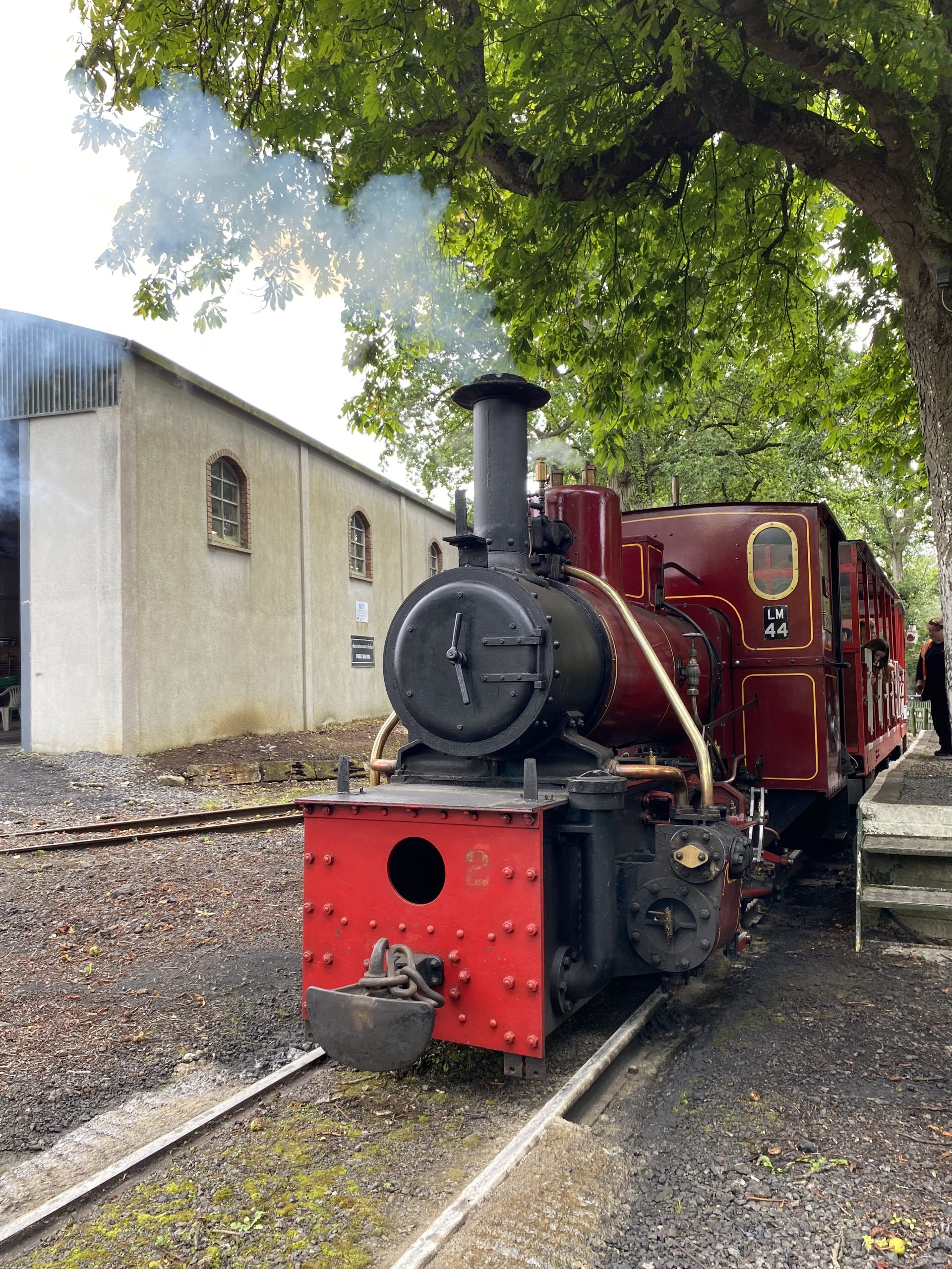 stradbally train