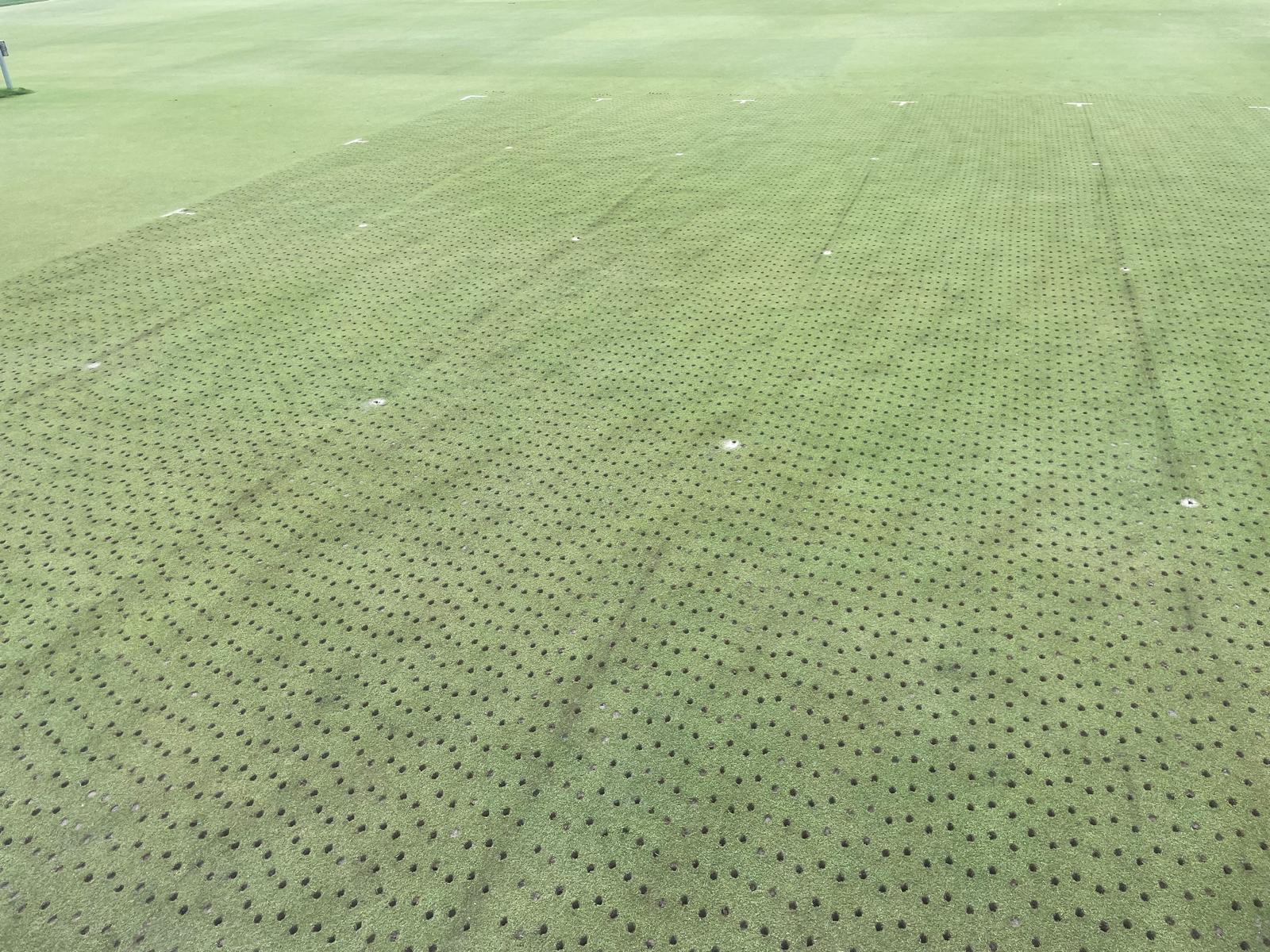 Putting Green, Wooster OH, tentative plot sizes of 6ft by 6f